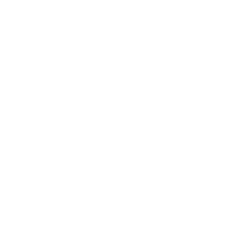 play  store